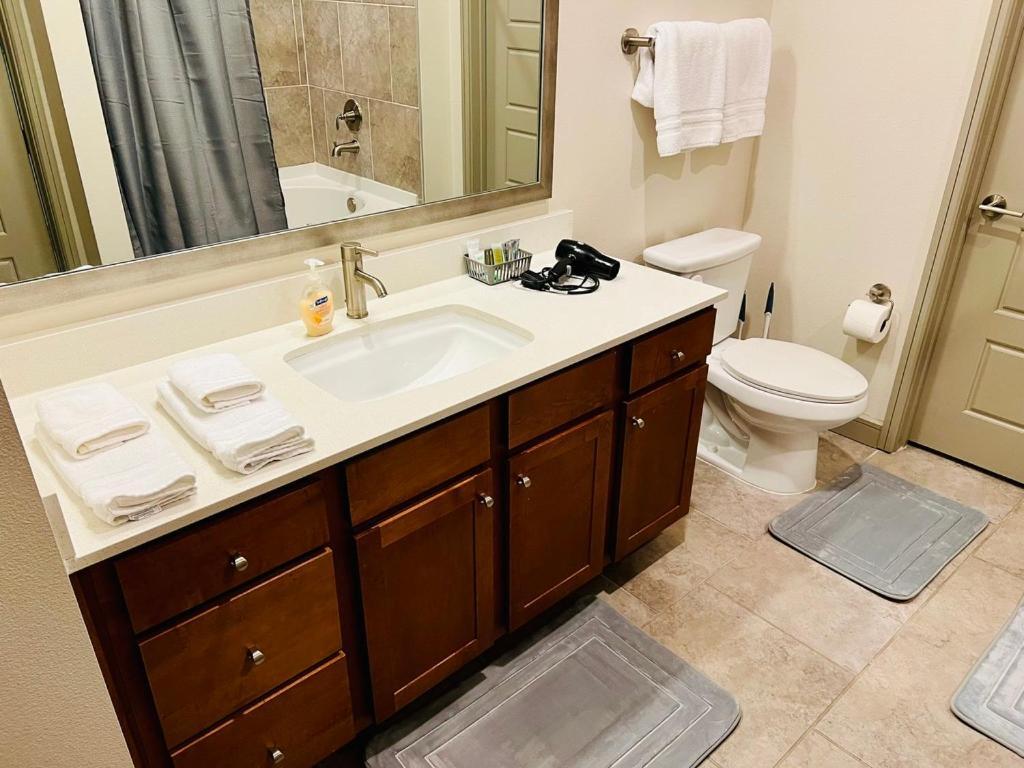 Downtown Apt Free Parking - Pool - Gym - Fully Kitchen Χιούστον Εξωτερικό φωτογραφία